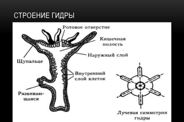 Кракен сайт 1kraken me вход
