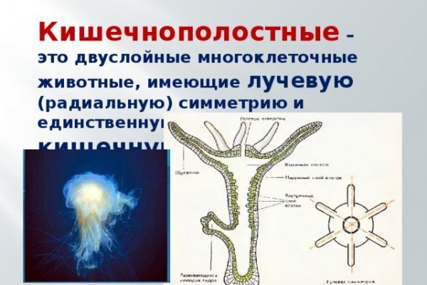 Ссылка на кракен 11
