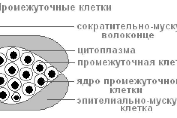 Кракен через обычный браузер