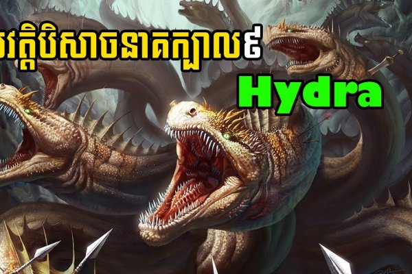Kraken что это за сайт