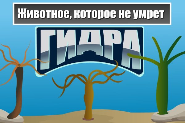 Кракен вход зеркало
