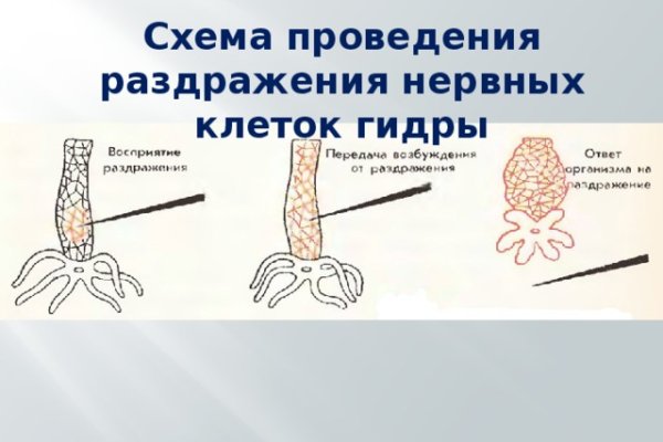 Kra31cc