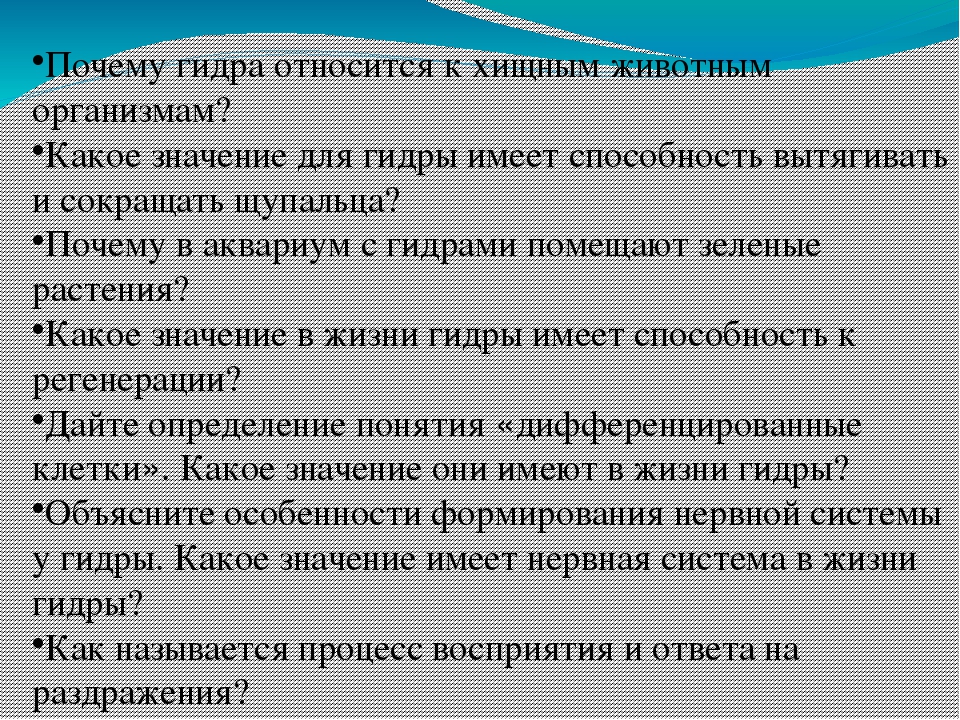Hydra маркетплейс